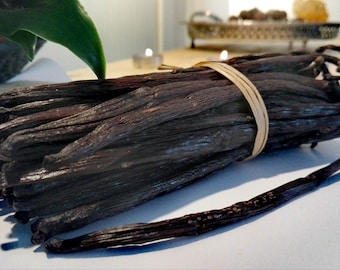 Bourbon Vanilla Pods X5 - 15 and 20 cm FRESH