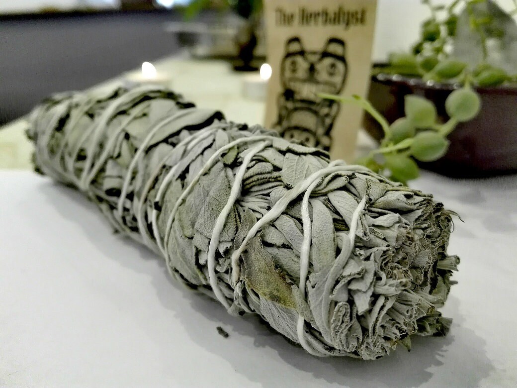 Bâton de Sauge Blanche Purification Fumigation Amérindien