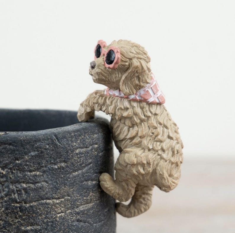 Dog Plant Pot Hanger With Pink Sunglasses | Cockapoo Pot Hugger - Etsy UK