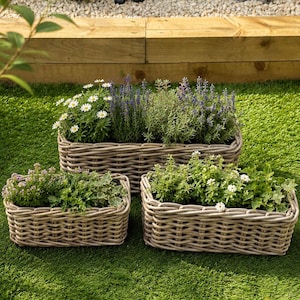 May include: Three rectangular woven wicker planters filled with various green plants and flowers. The planters are arranged on a green lawn. Two stone rabbit statues and small evergreen bushes are in the background.