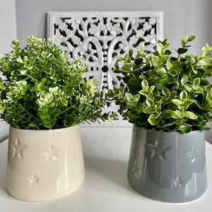 May include: Two potted plants with green leaves in white and grey ceramic pots with a star pattern. The pots are on a white surface.