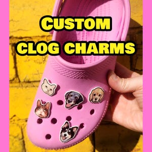 May include: A bright pink foam clog featuring five small, decorative charms shaped like the faces of various cats and dogs. The text CUSTOM CLOG CHARMS is printed in bold yellow letters with a black outline across the top of the pink shoe.