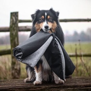 Outdoor blanket - waterproof on both sides, dog blanket, dog bed, dog training, puppy blanket, young dog, dog accessories