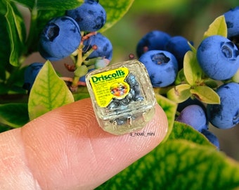 Puppenhaus- Obst- Puppenhaus- Küche- 1:12- Puppenhaus-Möbel- Miniatur- Obst- Puppenhaus- Blaubeeren- Miniaturfutter