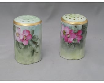 Rosenthal Hand Painted Salt and Pepper Shakers Antique