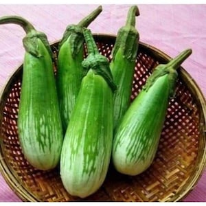 May include: Five green striped eggplants in a woven basket. The eggplants have a light green color with darker green stripes.