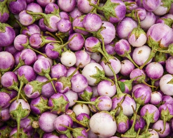 2 Thai Lavender Frog Eggplant plants. Ships in 4" pot/each. We do not ship to HI,CA & PR.