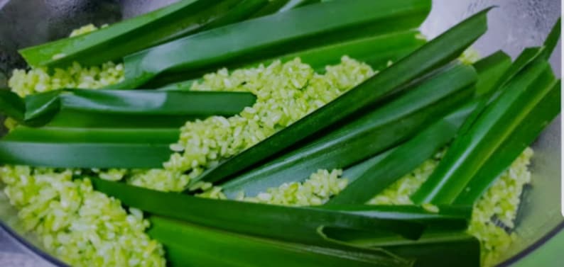Puede incluir: Una mezcla de granos de arroz de color verde claro intercalados con hojas de pandano largas, lisas y de color verde oscuro. Los ingredientes est&aacute;n dispuestos en capas, mostrando el contraste entre el arroz cocido verde p&aacute;lido y el follaje.