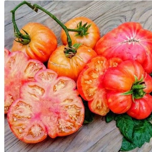 May include: A collection of ripe heirloom tomatoes, some whole and others sliced, showcasing vibrant colors from orange to deep red. The tomatoes have textured skin and are displayed on a wooden surface, with green stems and leaves.