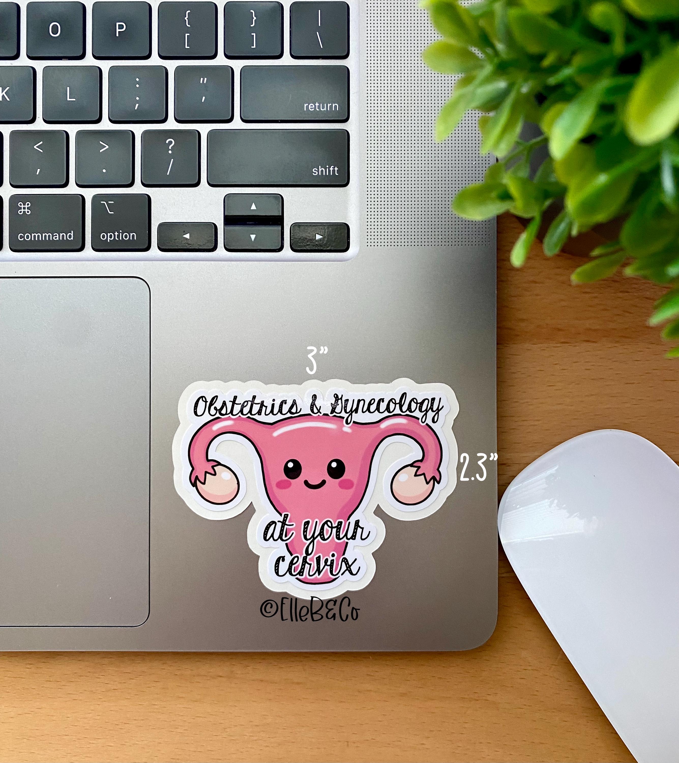 OB/GYN Stickers | Water Resistant Vinyl Stickers - Etsy