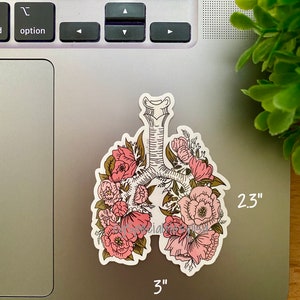 May include: A sticker of a stylized human lung with pink and white flowers surrounding it. The sticker is 3 inches wide and 2.3 inches tall.