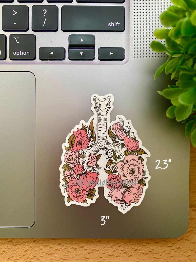 May include: A sticker of a stylized human lung with pink and white flowers surrounding it. The sticker is 3 inches wide and 2.3 inches tall.