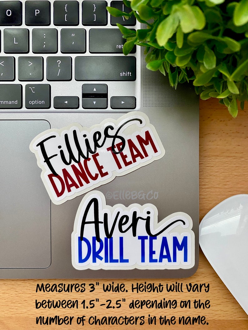 Drill Team, Dance Team Sticker Set | Water Resistant Vinyl Stickers - Etsy