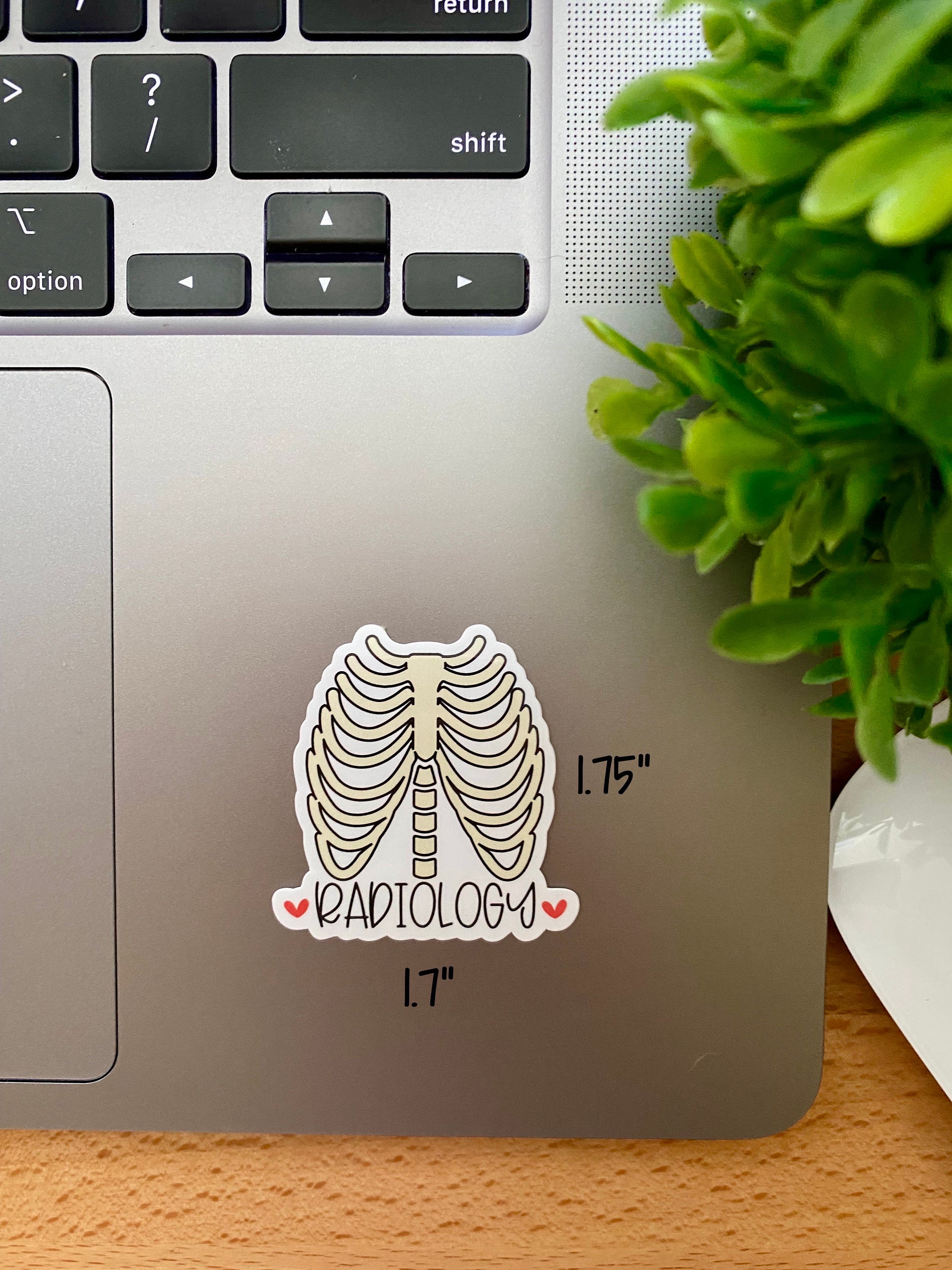 XRay Tech Radiology Tech Stickers Etsy