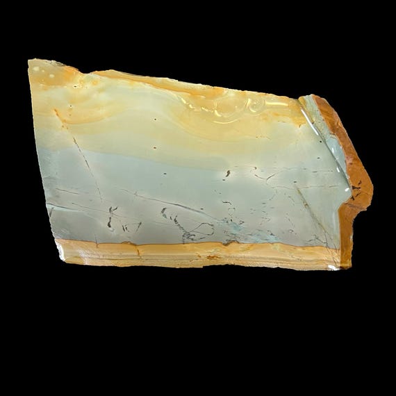 Wild Horse Picture Jasper Slab for Lapidary or Collection