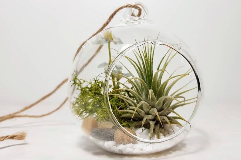 valentines day gifts for mom