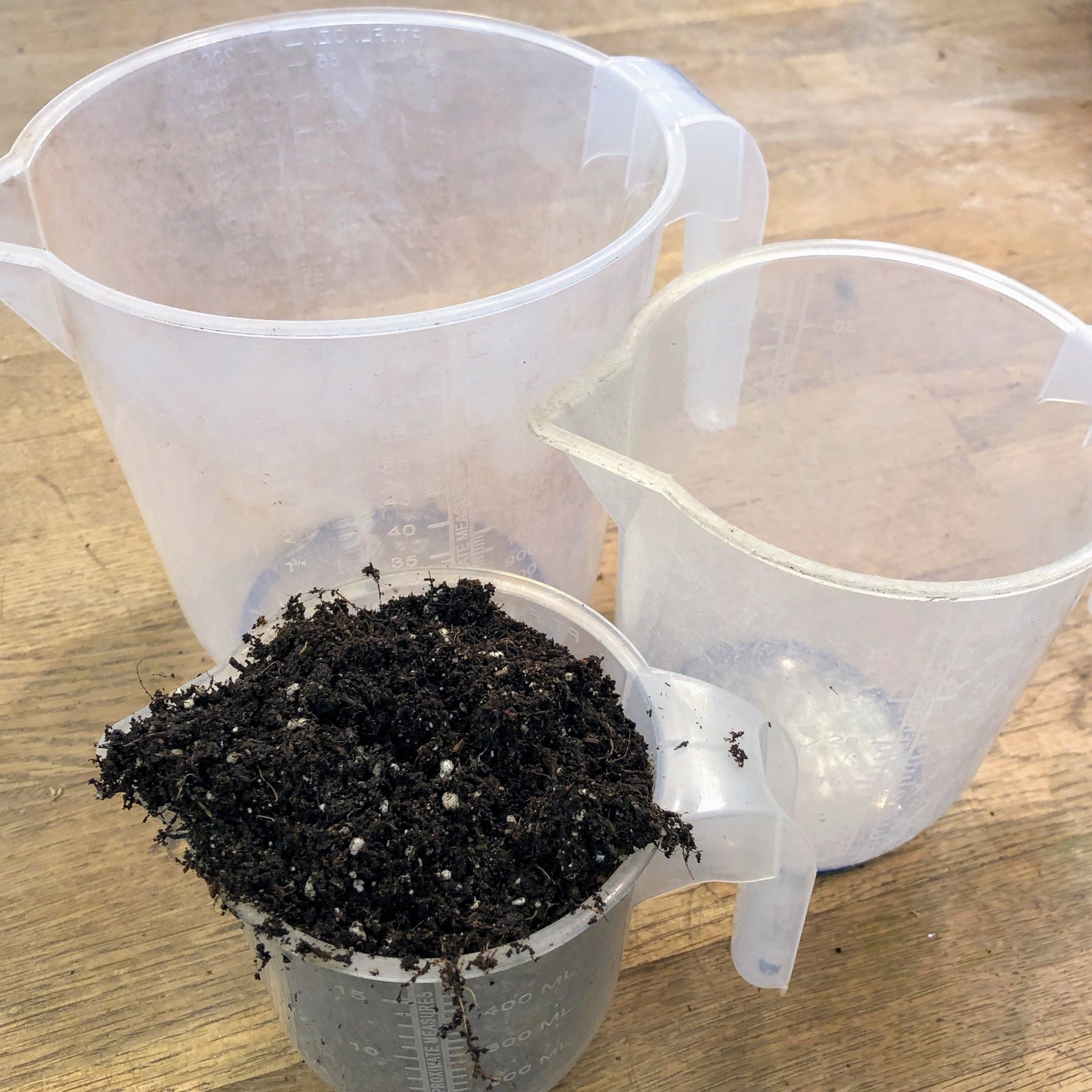 Terrarium & Potting Soil Own Blend Convenient Sizes Etsy