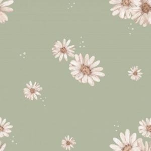 Fabric Sweat French Terry Summer Sweat Floral Flowers Daisies Daisy Flower Meadow Light Green from 50 cm