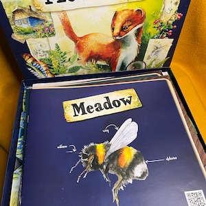 Meadow Brettspiel Box-Einsatz - NUR STL Datei (Erweiterung passt!)