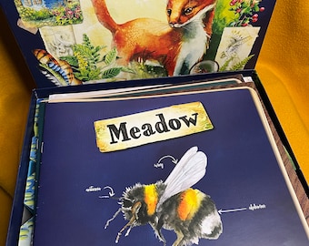 Meadow Board Game box insert - STL file ONLY (Expansion fits!)