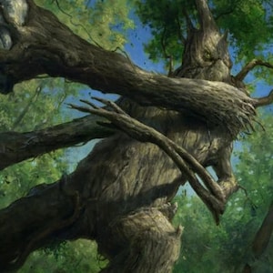 50 Card Treefolk Collection lot Magic: the Gathering MTG w/ Rares - Great Gift Idea