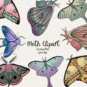 Colorful moth clipart, Insect illustrations, 13 moth png files, INSTANT DOWNLOAD