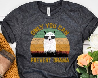 Vintage Retro Sunset Llama shirt • Mama Llama shirt • No Drama Llama • Only You Can Prevent Drama