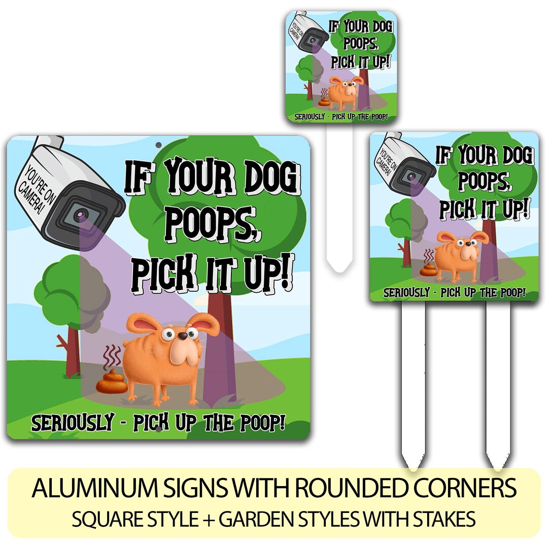 Cartello divertente in alluminio con scritta in inglese There is no Poop Fairy Yard With Stake Dog Poop, per casa, prato, cortile, porta e affari, 17,5 x 22 cm