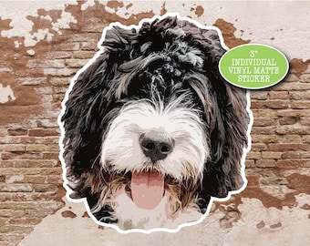 Bernedoodle Sticker Matte Vinyl Decal: Waterproof and UV Resistant (Multiple Sizes, Durable for Laptop, Car, Waterbottle)