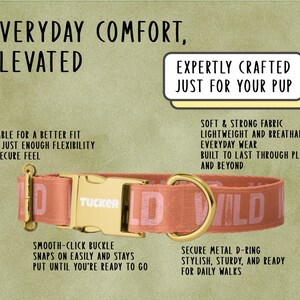 a dog collar with instructions on how to wear it