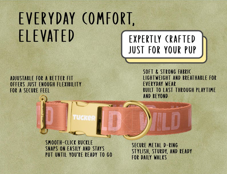 a dog collar with instructions on how to wear it