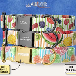 May include: Three dog collars with fruit patterns, including strawberries, watermelon, and citrus slices. The collars have black and gold buckles with personalized text. The top collar says "Bella", the middle collar says "Shasta", and the bottom collar says "Tucker".