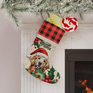 May include: A Christmas stocking featuring a red and black buffalo plaid cuff and a beige body. The stocking displays a golden retriever wearing a Santa hat, surrounded by green holly leaves and red berries, with the name Drama printed in black.