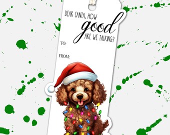 Puede incluir: Una etiqueta de regalo blanca con el texto "Querido Santa, ¿Qué tan bueno estamos hablando?" y un caniche marrón con un gorro de Papá Noel y envuelto en luces navideñas.