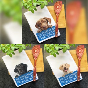 All Food Must Go to The Lab For Testing Kitchen Towel, Chocolate Lab Gifts, Yellow Lab Gifts, Black Labrador Tea Towel, Retriever Mom Gift
