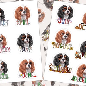 Cavalier Spaniel, Months of the Year, King Charles Dog Sticker Sheet, Planner Sticker, Journal Sticker, Functional Sticker, Calendar Sticker