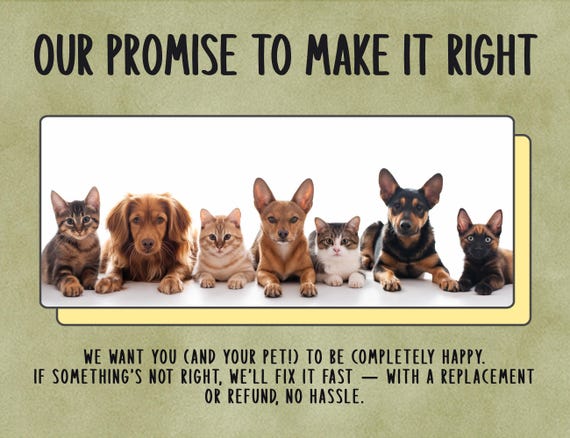 Vintage Bear & Honey Bee Dog Collar Personalized, Custom Buckle Collar for Dogs, Pastel Bee Flower Honey Gift, Cute Collar for Girl/Boy Pup