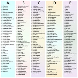 a list of different types of font and numbers