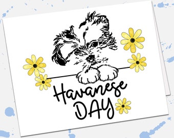 Havanese Day Blank Card, Havanese Birthday Card From Dog, Dog Dad Card, Havanese Dog Mom Gift Card, Get Well Card, Yellow Daisy Flowers Card