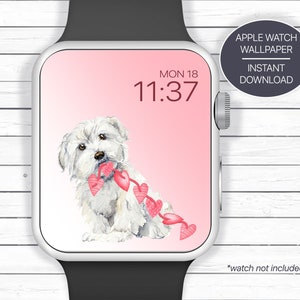 Cane Havanese, Sfondo per quadrante smartwatch, Sfondo per smartwatch, Regali Havanese, Download di sfondo per orologio personalizzato, Quadranti per smartwatch
