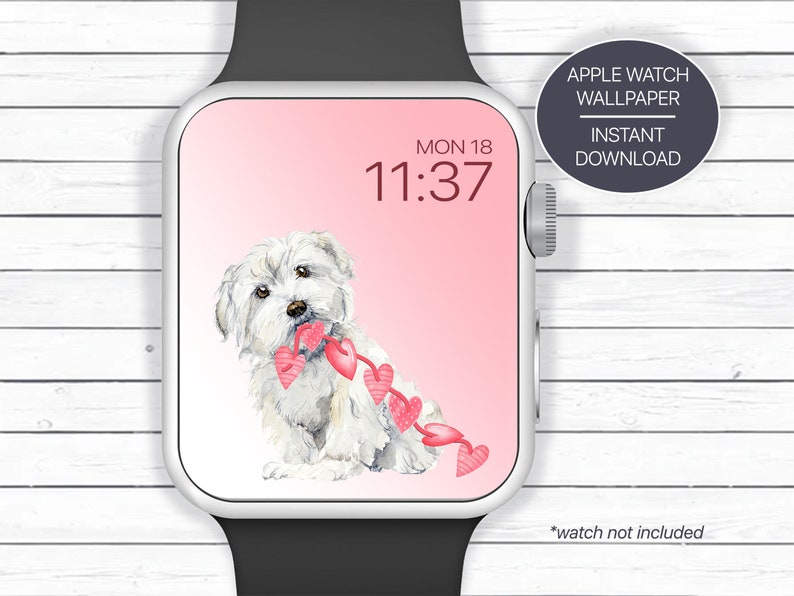 Havanese Dog, Smart Watch Face Wallpaper, Smartwatch Wallpaper, Havanese Gifts, Personalized Watch Wallpaper Download, Smart Watch Faces image 1