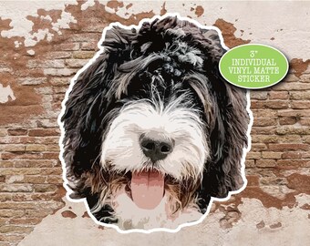 Bernedoodle Sticker, Bernedoodle Gift for Mom, Cute Dog Sticker, Waterbottle Stickers, Vinyl Sticker Laptop, Bernese Mountain Dog Poodle Mix