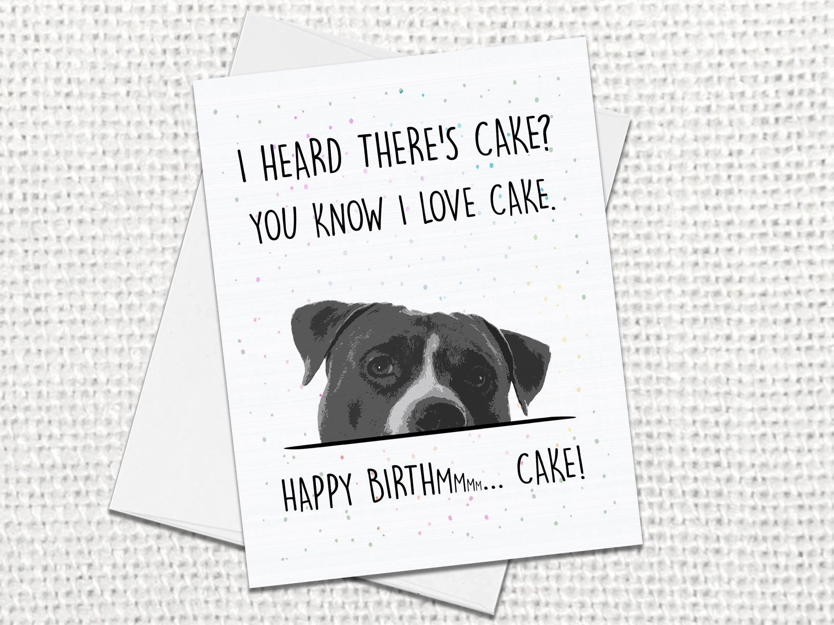 Pitbull Bikini Birthday Card 