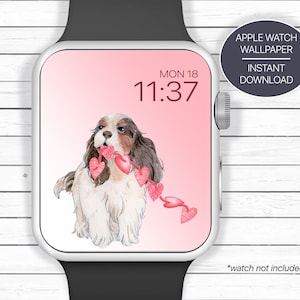 Cavalier King Charles Spaniel, Sfondo per quadrante smartwatch, Sfondo smartwatch, Scarica sfondo orologio, Cavalier King Charles Spaniel