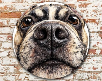 French Bulldog Round Wreath Sign, Funny Dog Face Front Door Decor, Fisheye Snoot Aluminum Door Hanger, Gift for Frenchie Lovers