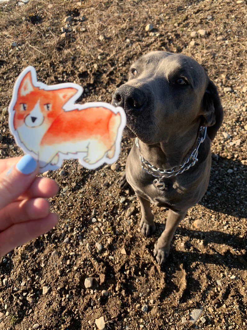 Cute Corgi Dog Vinyl Weatherproof Sticker