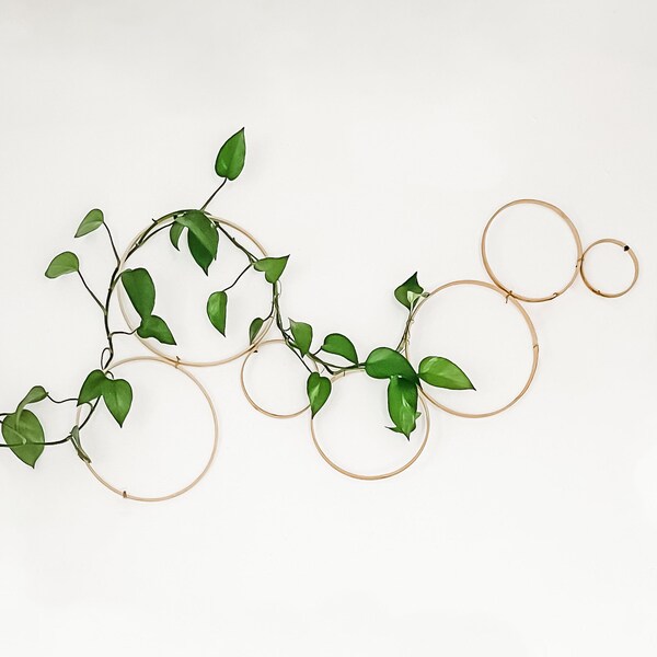 Indoor Plant Trellis Etsy