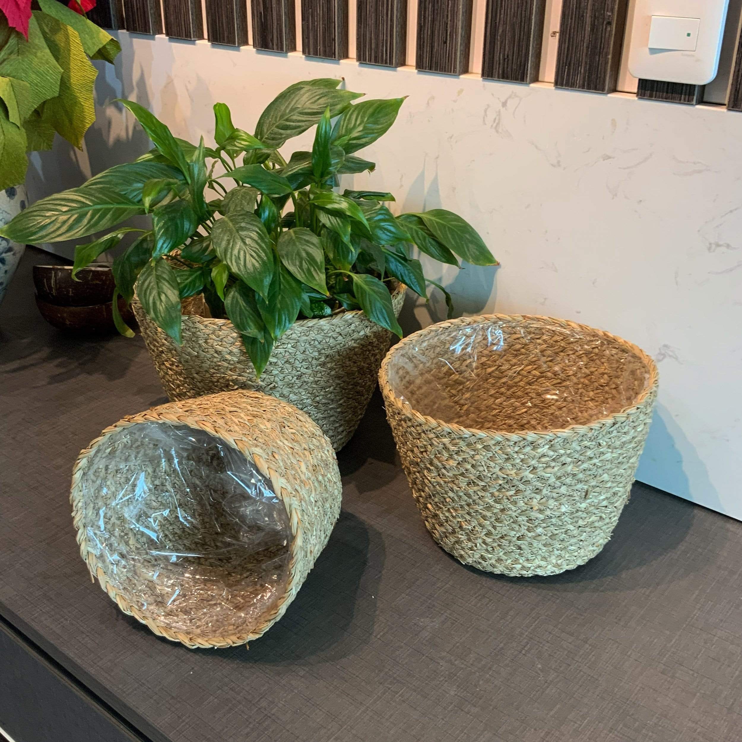 Set 3 Jardineras de cestas forradas de plástico tejidas a mano | Etsy