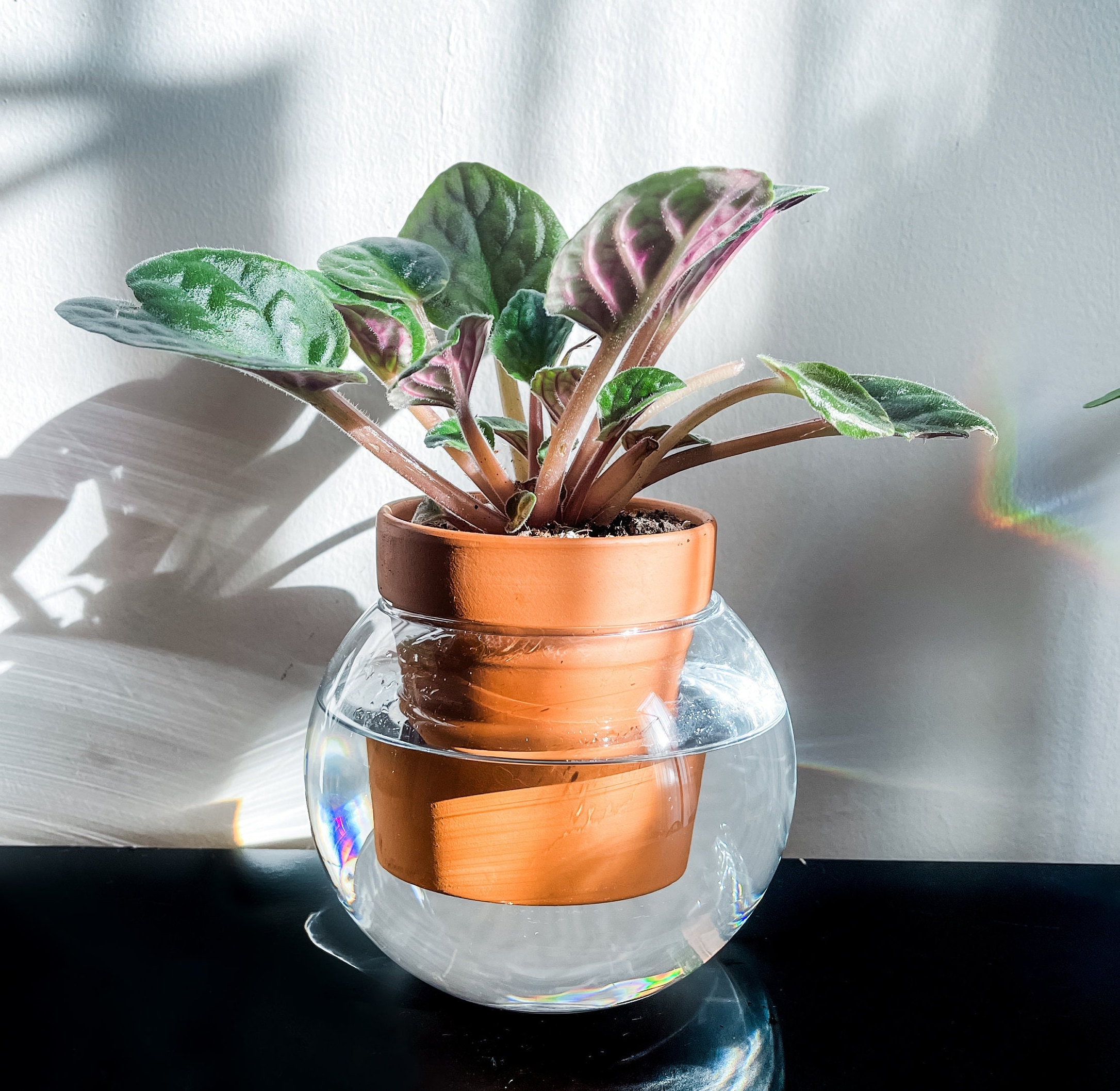 Minimal Globe Self-Watering Planter