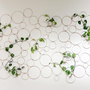 May include: A white wall with a pattern of circles, each containing a small potted plant. The plants are all green and have vines that grow out of the pots.